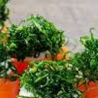 imagemJou Jou palha de couve (6 unid.) 