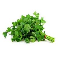 imagemSALSA UND