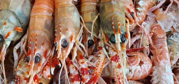 imagem do produto: Lagostim kg