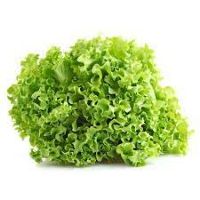 imagemALFACE CRESPA UND
