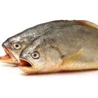 imagemCorvina