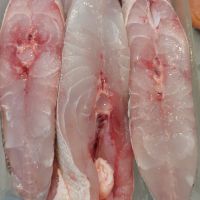 imagemposta de corvina