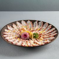 imagem do produto: Carpaccio Polvo
