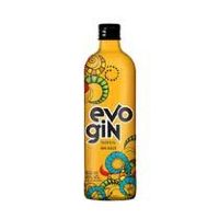 imagemEVO GIN TROPICAL 950ML
