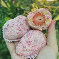 imagemMorango Cravejado