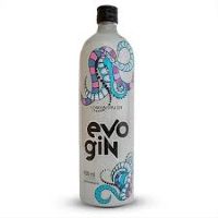 imagemEVO GIN TRADICIONAL 950ML