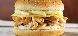 imagem do produto: X-Frango Egg