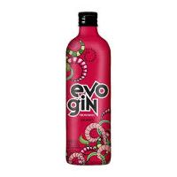 imagemEVO GIN MORANGO 950ML